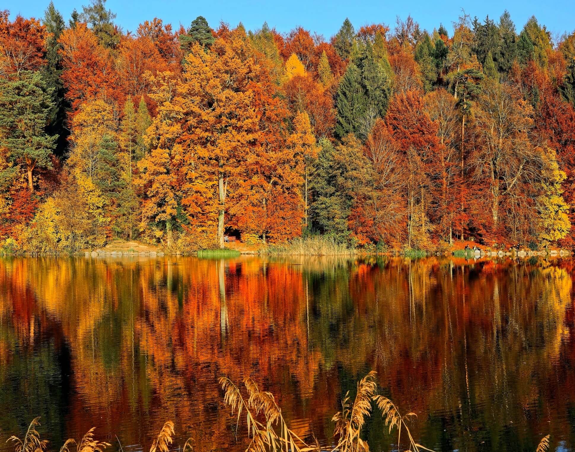 dove andare a ottobre bosco