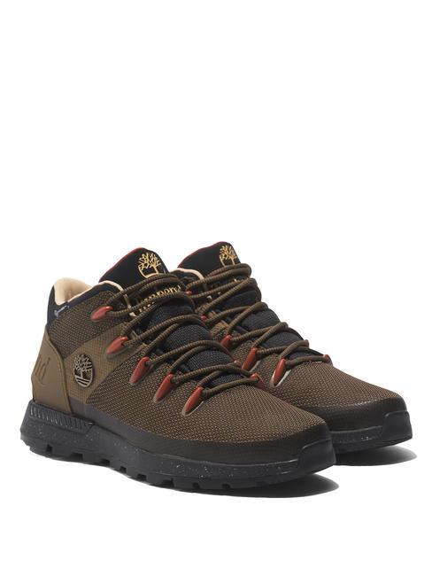 TIMBERLAND SPRINT TREKKER Zapatillas milolive - Zapatos Hombre