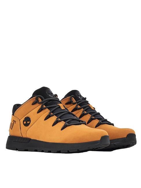 TIMBERLAND SPRINT TREKKER  Zapatillas de piel trigo - Zapatos Hombre