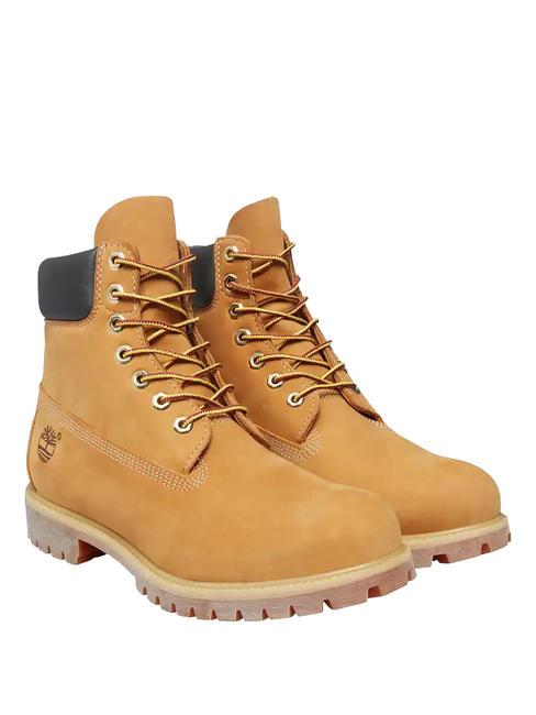 TIMBERLAND 6 INCH  Botines de piel amarillo - Zapatos Mujer